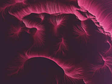 New GIS Capabilities